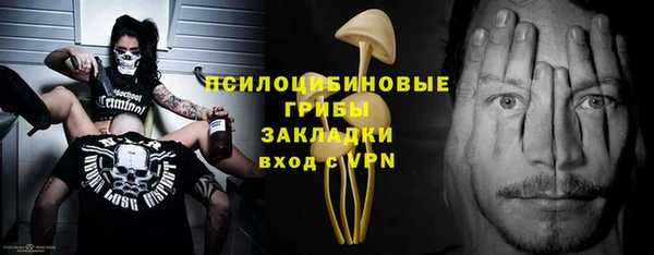 крисы Краснотурьинск