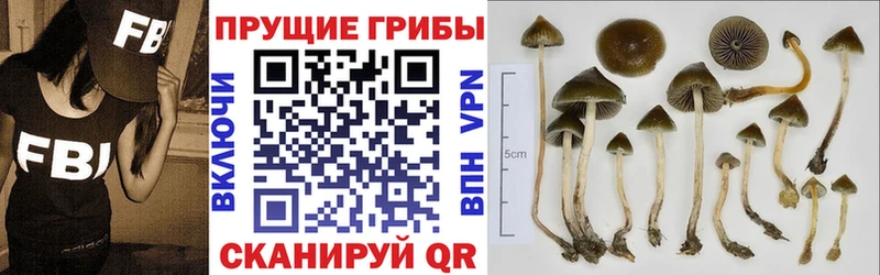 Галлюциногенные грибы ЛСД  Купить закладки  Надым 